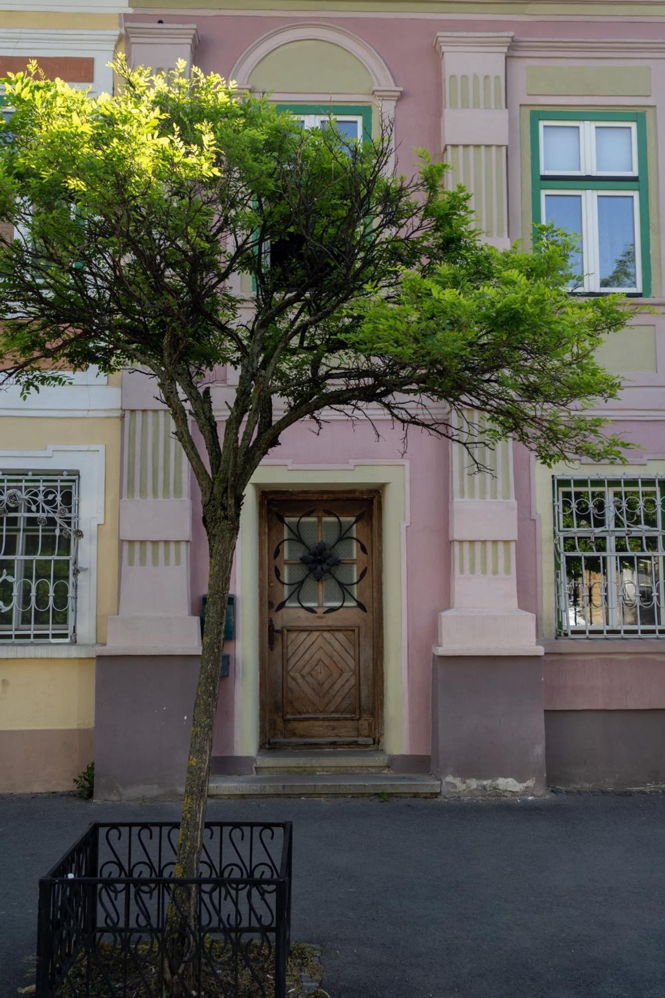 Downtown Sibiu Daire Dış mekan fotoğraf